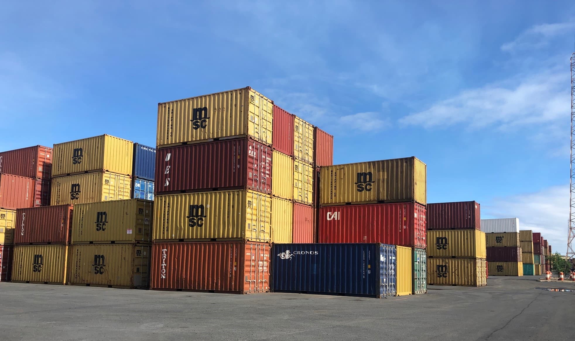 TOM MEDLOG Carousel Image 1