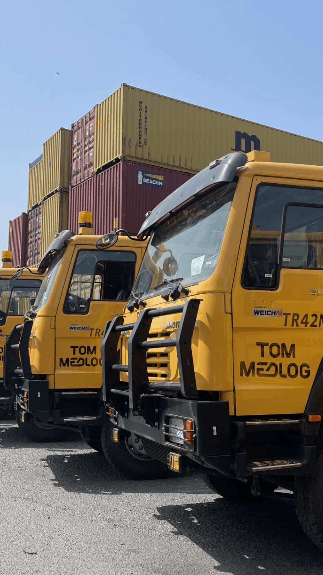 TOM MEDLOG Image header